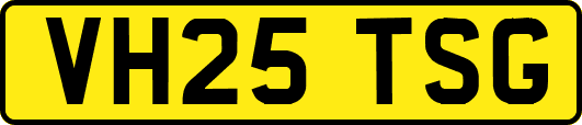 VH25TSG