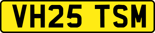 VH25TSM