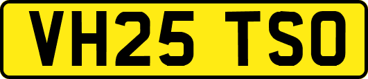 VH25TSO