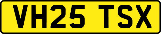 VH25TSX