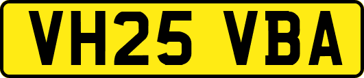 VH25VBA