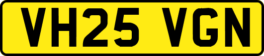 VH25VGN