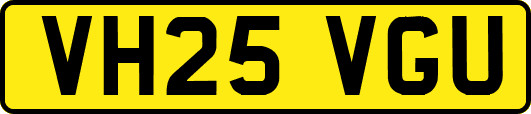 VH25VGU