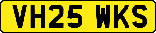 VH25WKS