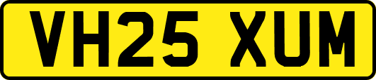VH25XUM