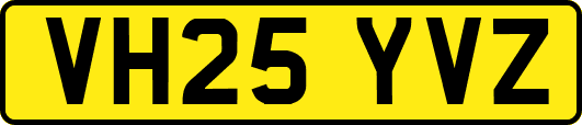 VH25YVZ
