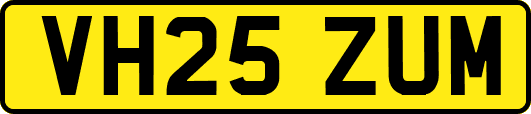 VH25ZUM