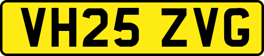 VH25ZVG