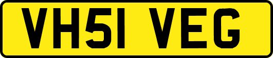 VH51VEG