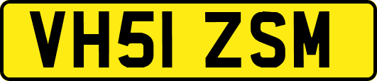 VH51ZSM