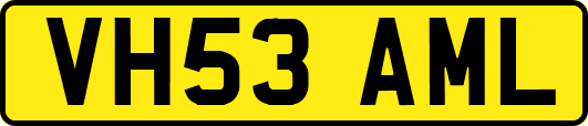 VH53AML