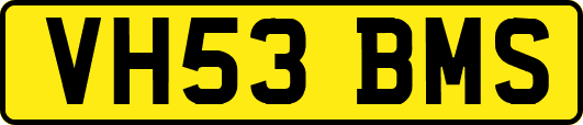 VH53BMS