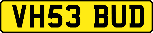 VH53BUD