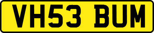 VH53BUM