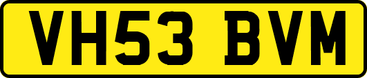 VH53BVM