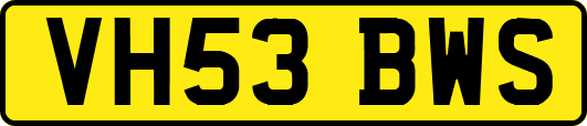 VH53BWS