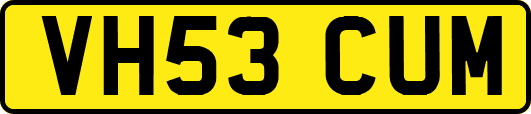 VH53CUM