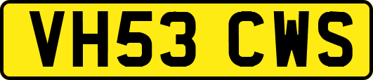 VH53CWS