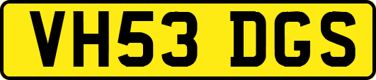 VH53DGS