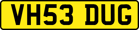 VH53DUG