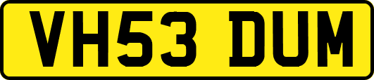 VH53DUM