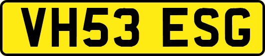 VH53ESG