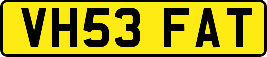 VH53FAT