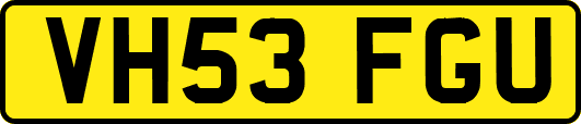 VH53FGU