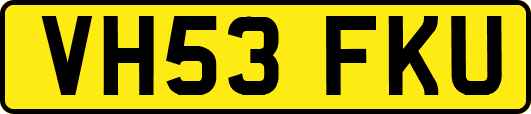 VH53FKU