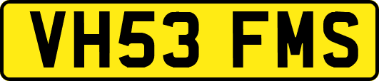 VH53FMS
