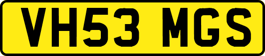 VH53MGS