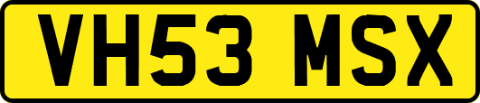 VH53MSX