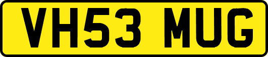 VH53MUG