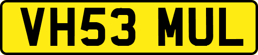 VH53MUL