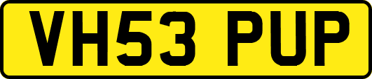 VH53PUP