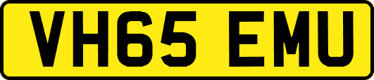 VH65EMU