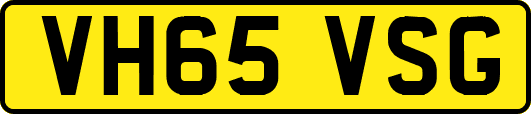 VH65VSG