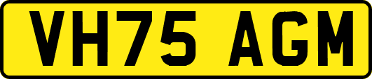 VH75AGM