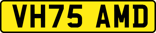 VH75AMD