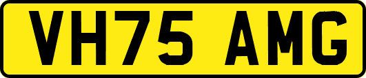 VH75AMG