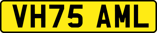 VH75AML