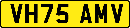 VH75AMV