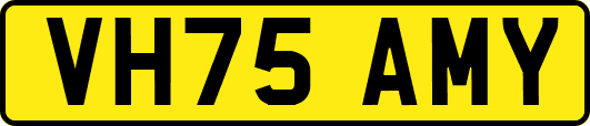VH75AMY