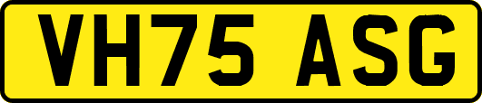 VH75ASG