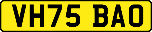 VH75BAO