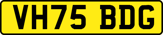 VH75BDG