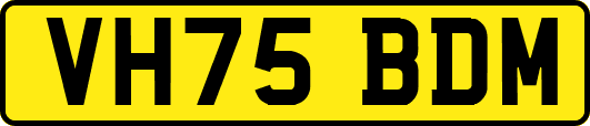 VH75BDM