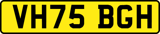 VH75BGH