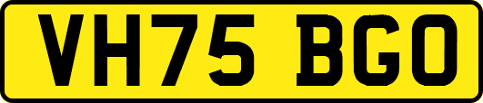 VH75BGO