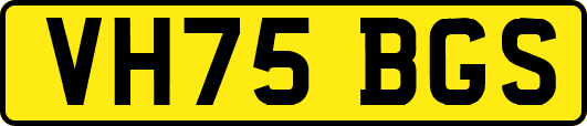 VH75BGS